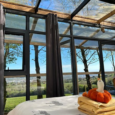 Sky Gazer Cabin In The Woods Dublin Exteriér fotografie